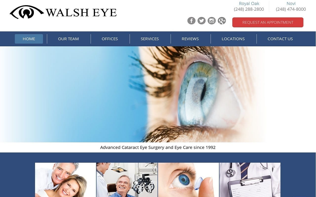 Walsheye.com Screenshot