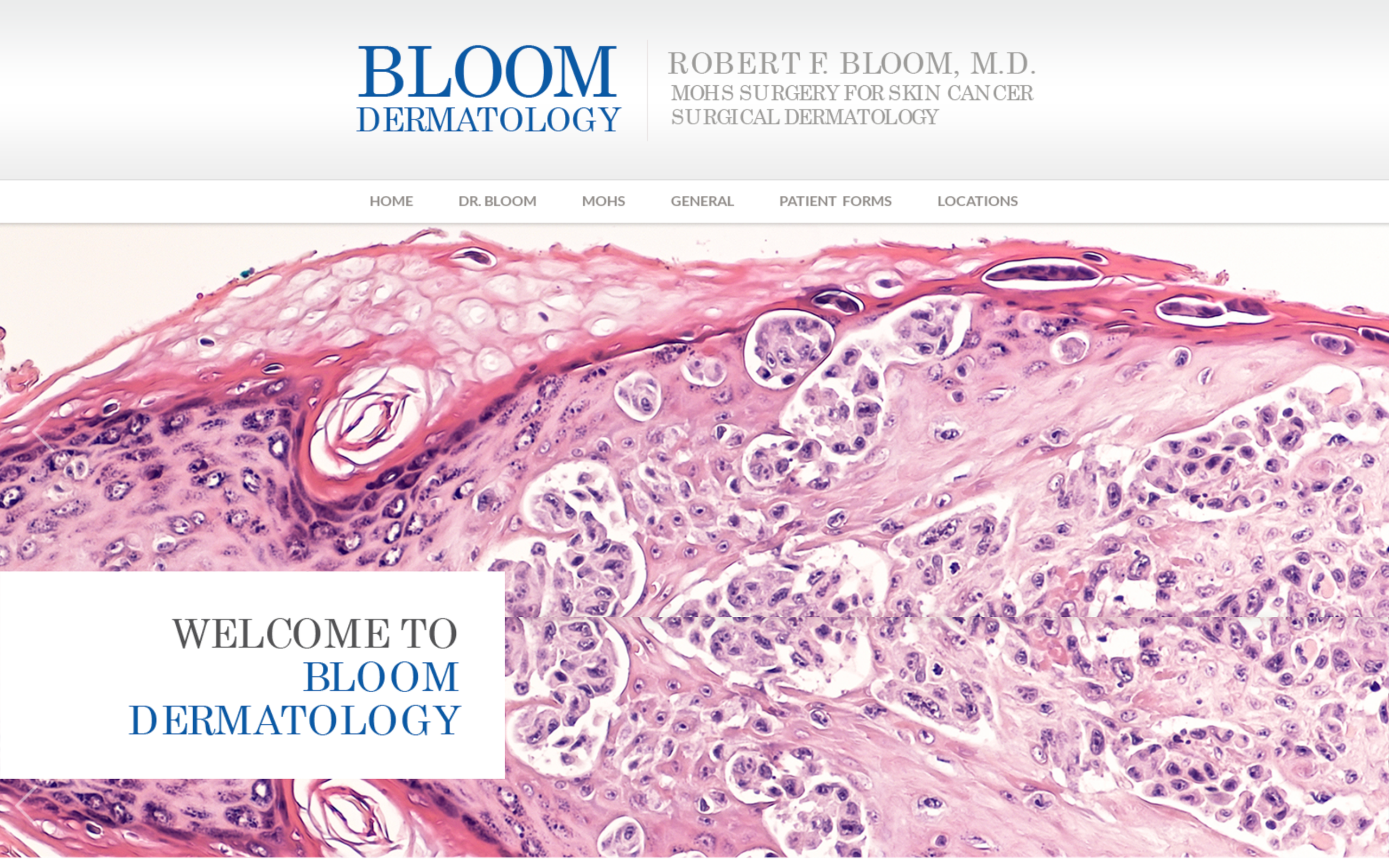 Bloom Dermatology