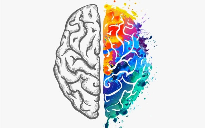 Illustration Of Human Brain With Left Side In Black An White And Right Side Colored In With Various Colors