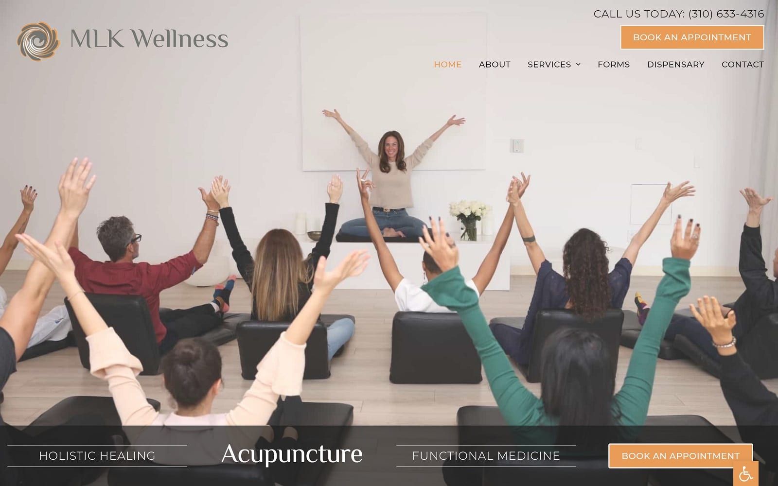 Mlkacupuncture.com Screenshot