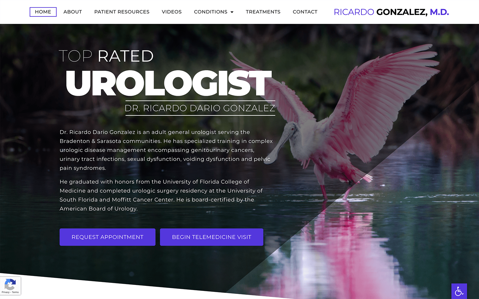 Naturesque Urology Website Design