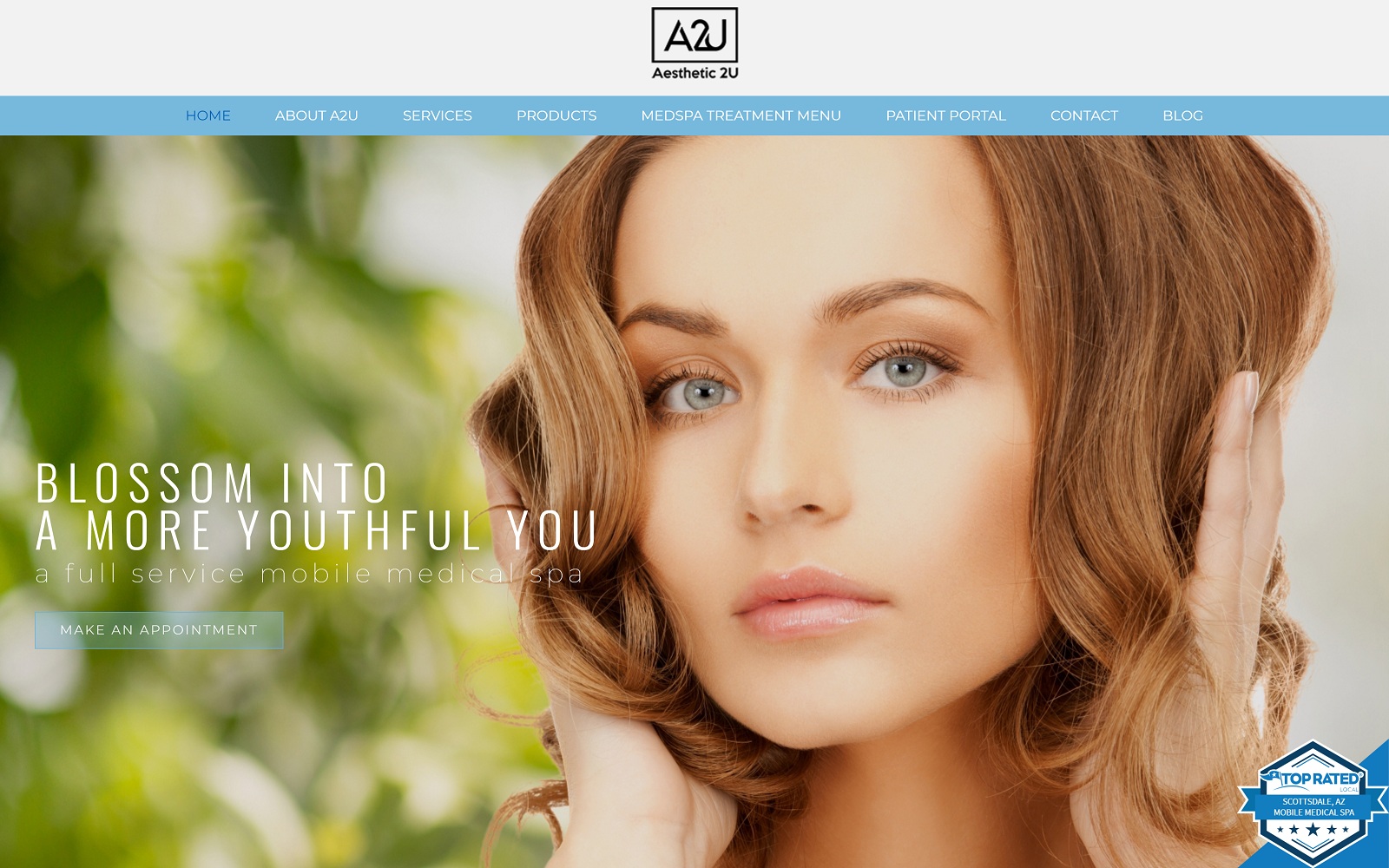 Aesthetic2u.com Screenshot1