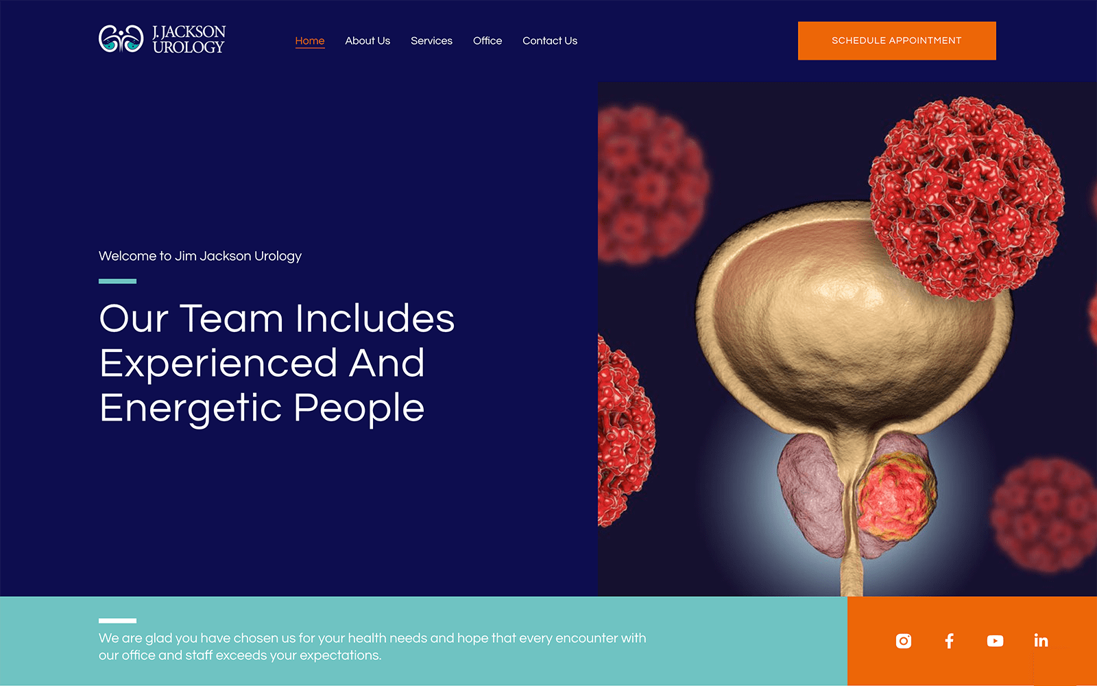 Urology Website Design & Development by O360®