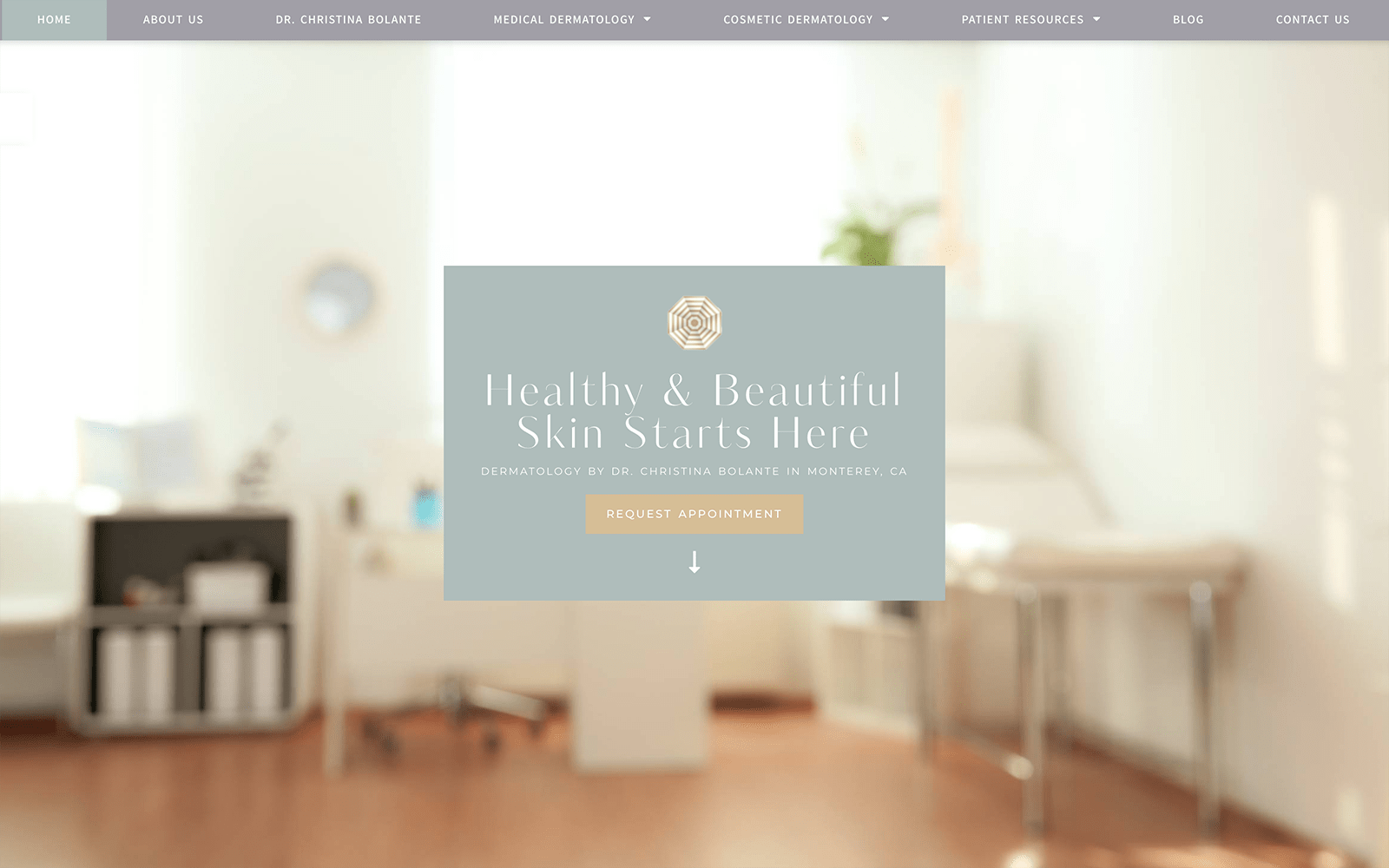 Spa Dermatology Website Design