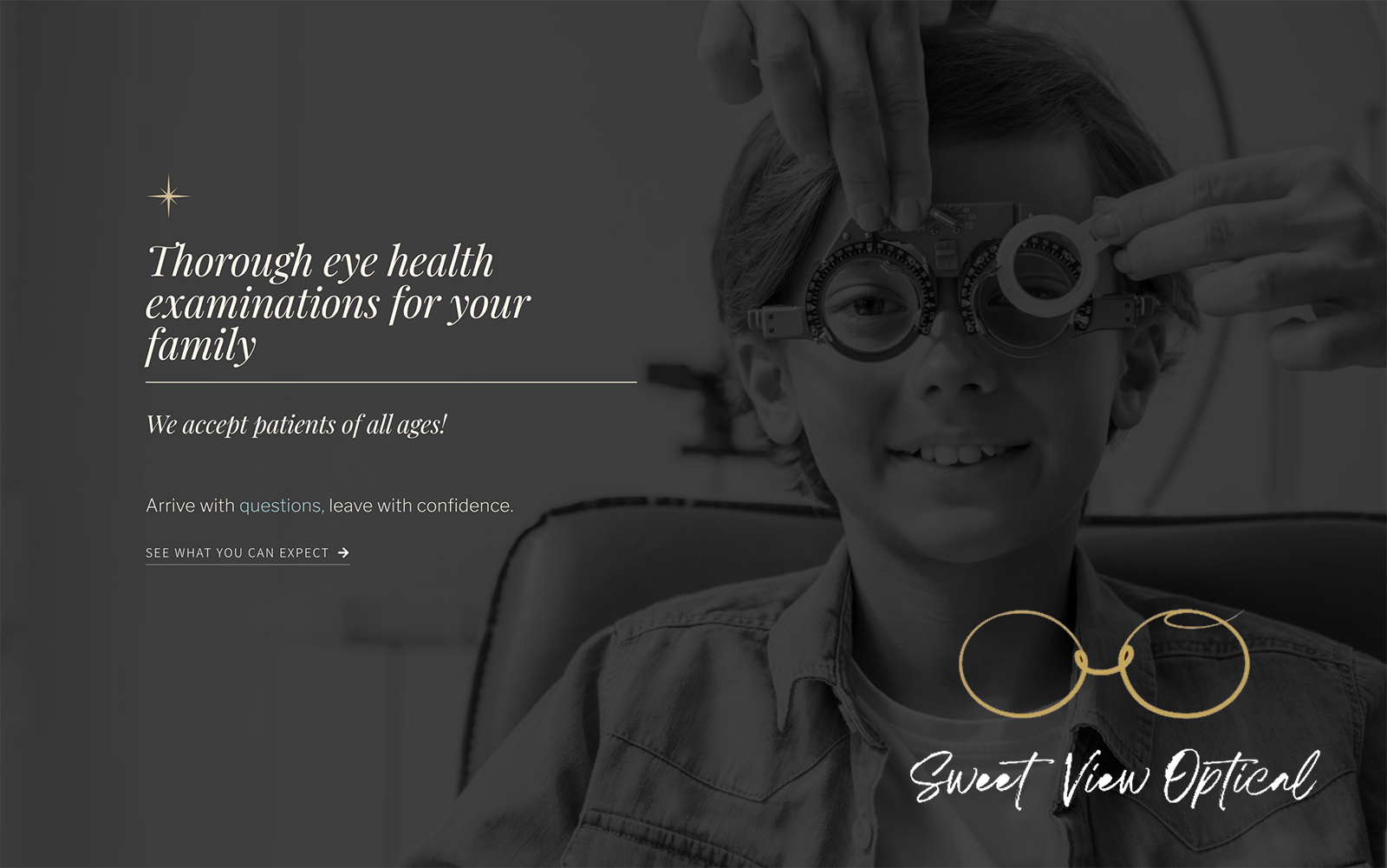 Optical Website Example